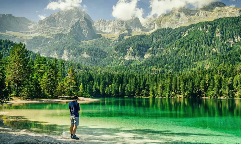 Países da ONU aprovam 15 resoluções em reunião sobre ambiente