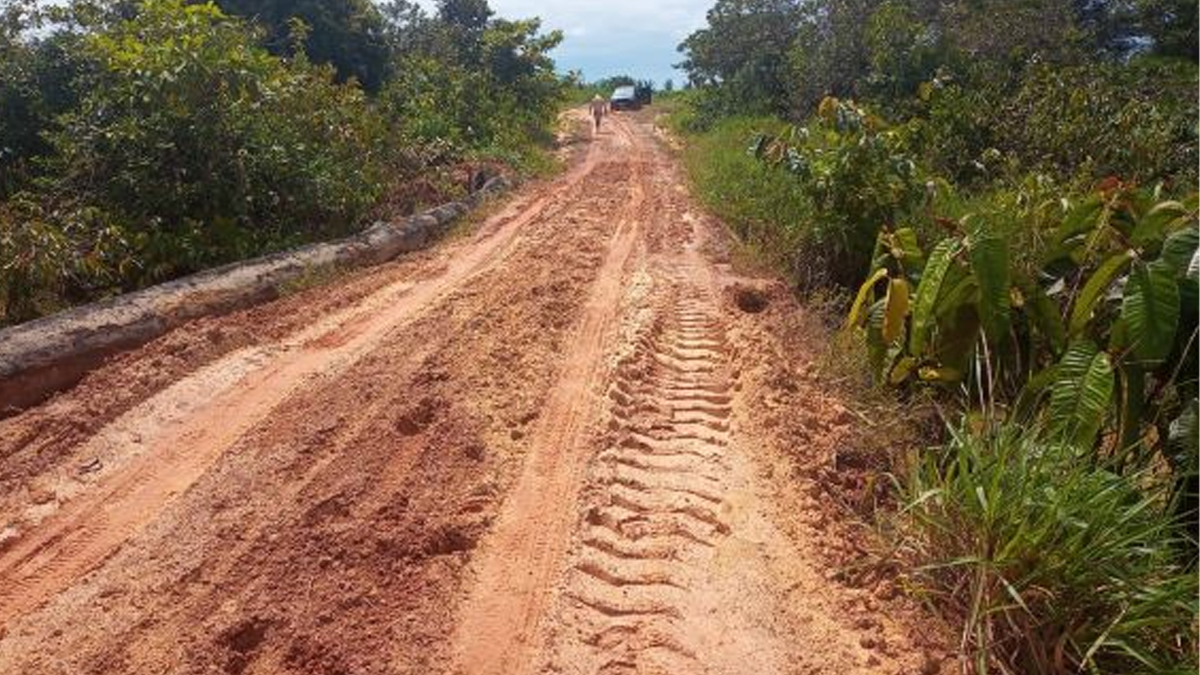 DER atende pedido da Dra. Taíssa e recupera ponte da linha do Tucano em União Bandeirantes - News Rondônia