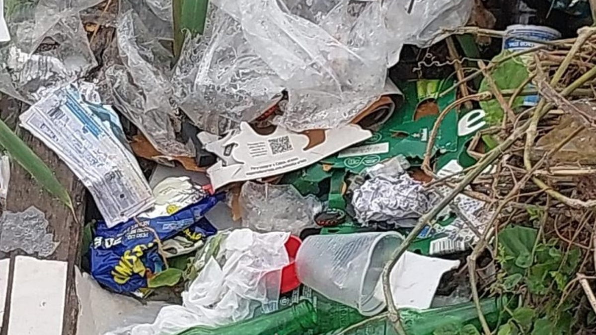 Prefeitura alerta que descarte irregular de lixo é crime ambiental, obstrui canais e aumenta as alagações - News Rondônia