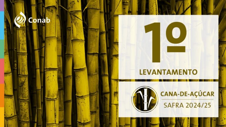 1º Levantamento da Safra de Cana-de-Açúcar 2024/25