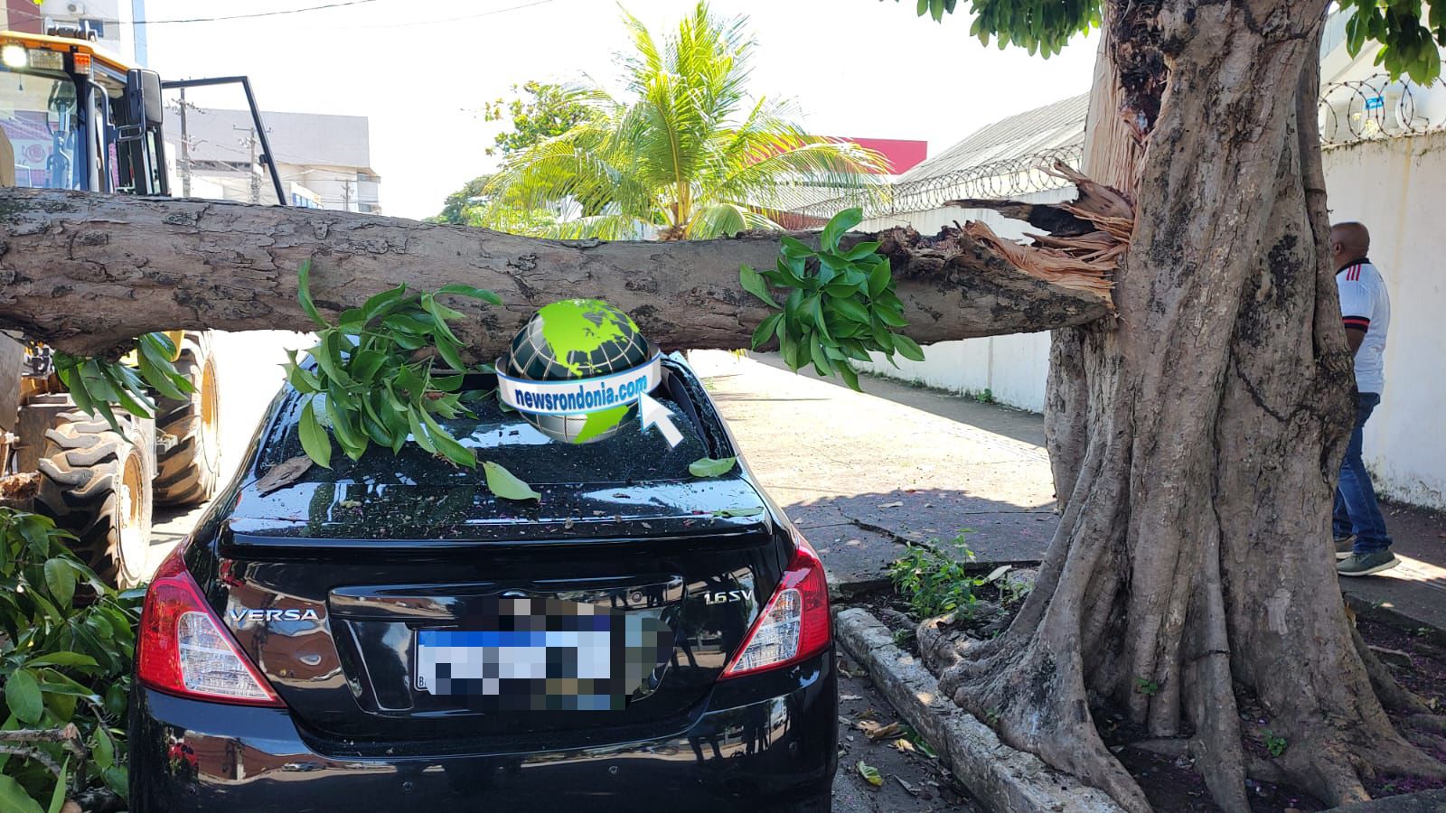 Árvore quebra e cai em cima de carros no centro de Porto Velho