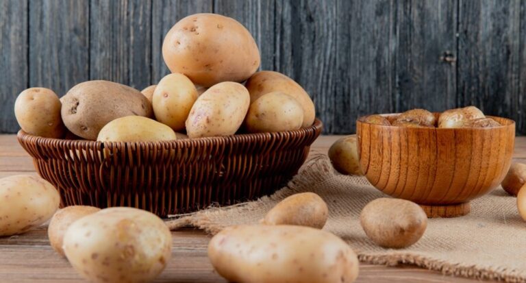 Depois de cinco meses de alta, preços da batata registram queda no atacado, aponta Boletim da Conab