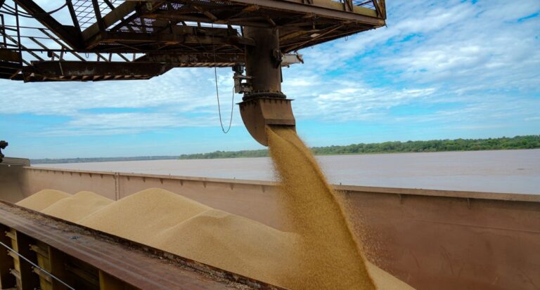 Crescimento da soja em Porto Velho: de 255 hectares plantados em 2005 para mais de 30 mil em 2022
