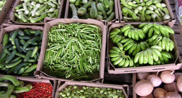 Prefeitura de Jaru abre credenciamento para seleção de feirantes interessados em comercializarem no Feirão do Produtor Rural