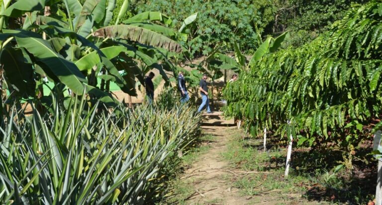 Vitrine Tecnológica reforça produção sustentável na agricultura familiar na Rondônia Rural Show