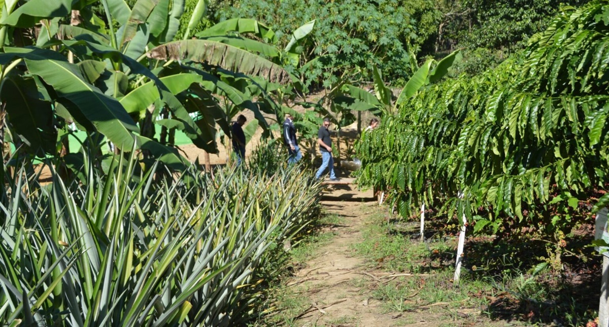 Vitrine Tecnológica reforça produção sustentável na agricultura familiar na Rondônia Rural Show