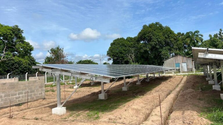 Dia dos Povos Indígenas é marcado pela chegada da energia elétrica em aldeia de Rondônia - News Rondônia
