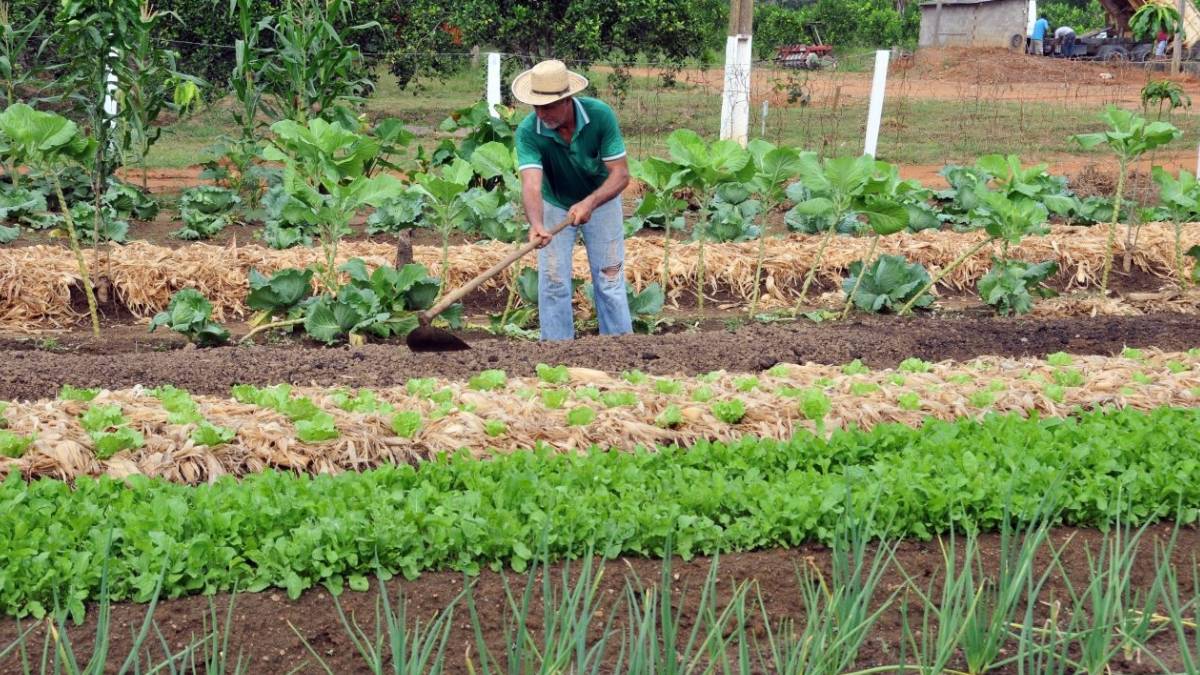 Divulgação / Governo de Rondônia