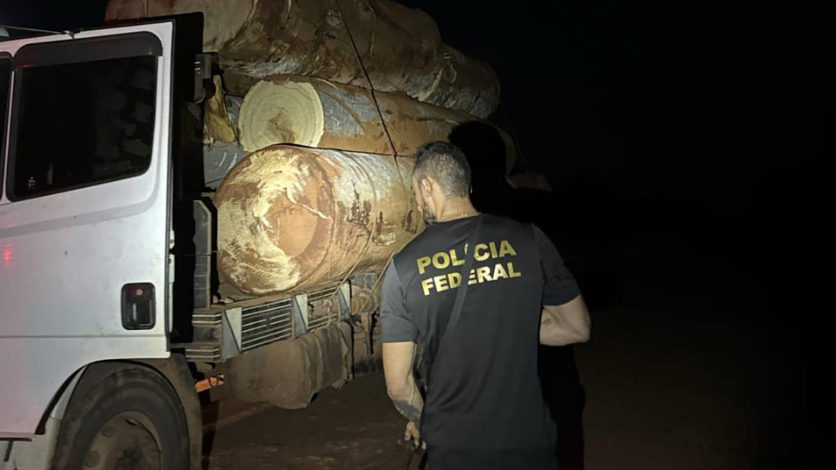 PF RO intensifica fiscalização para combater comércio ilegal de madeiras extraídas de terras indígenas - News Rondônia