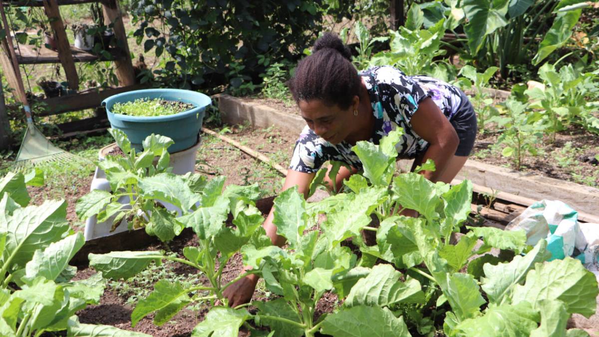Assistência agrícola transforma comunidades quilombolas na região do Vale do Guaporé