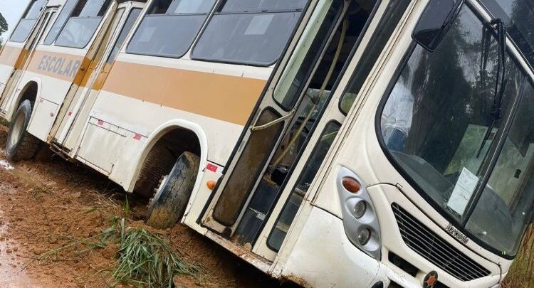 Acidente com ônibus escolar deixa duas crianças feridas em Vale do Anari