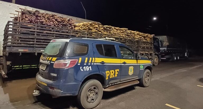 Em Porto Velho, PRF identifica transporte irregular de madeira