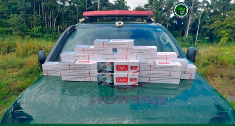 Operação Protetor das Fronteiras e Divisas: Grande apreensão na BR-420 - News Rondônia