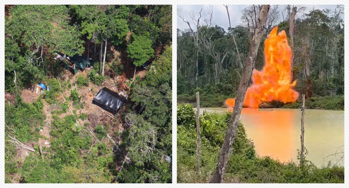 Operação Catrimani II: Golpe contra o garimpo ilegal na Terra Yanomami - News Rondônia