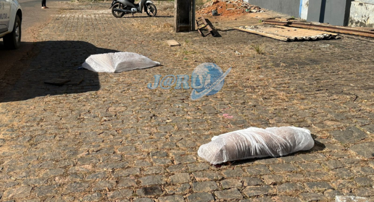 Dois pitbulls são mortos a tiros após suposto ataque dos cães