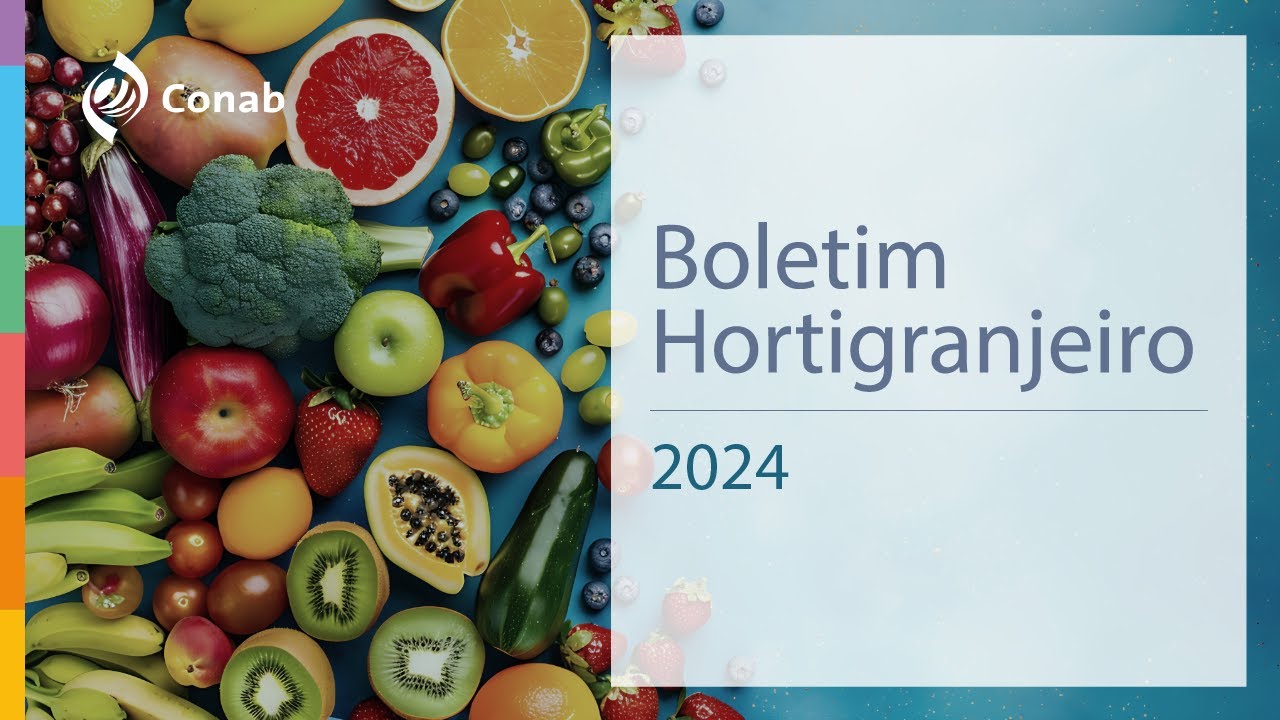 CONAB divulga resultado do 5° Boletim Prohort de Comercialização de Hortigranjeiros nas Centrais de Abastecimento 2024