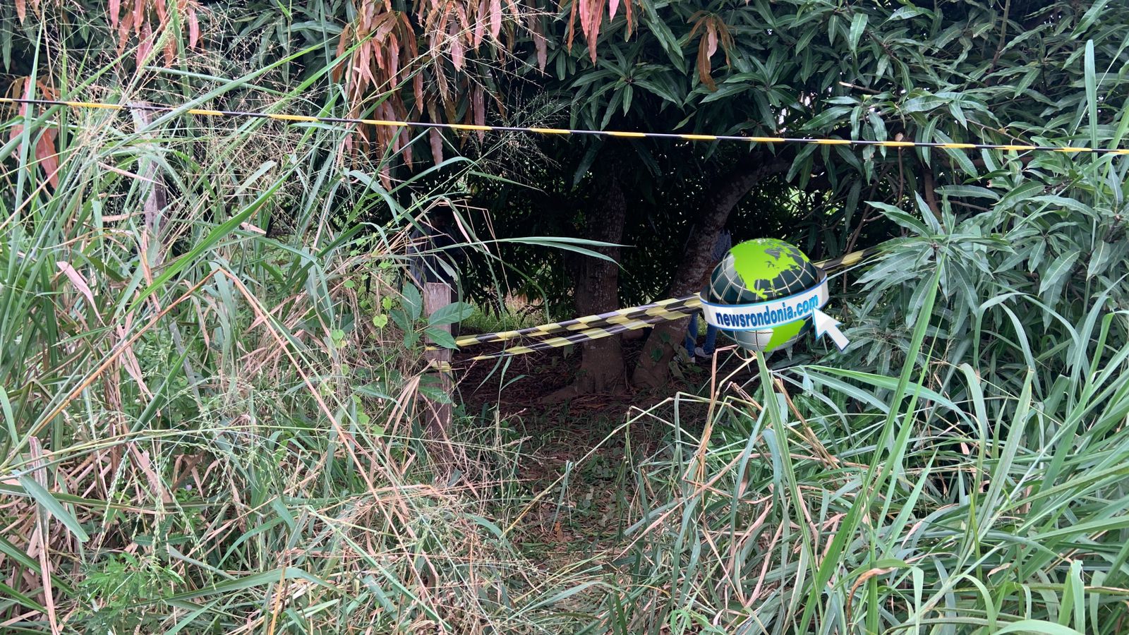 Homem é encontrado morto em área de mata na zona leste