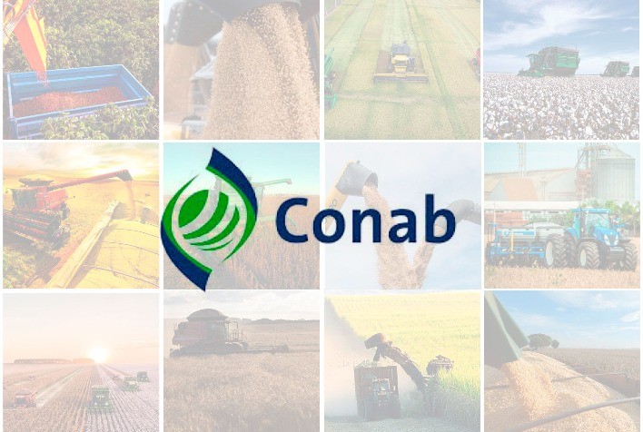 Pesquisa da Conab para atualização dos números da safra brasileira de grãos inicia nesta semana