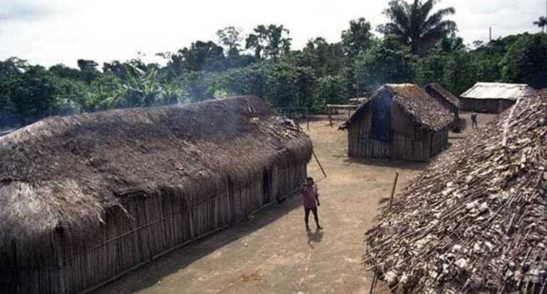Mulheres indigenistas apoiam os povos originários na busca pela igualdade de gênero