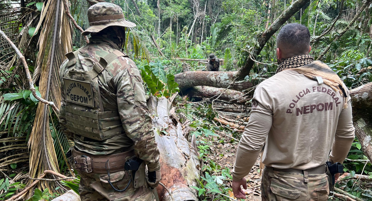 PF deflagra operação para combate a crimes na Terra Indígena Igarapé Laje