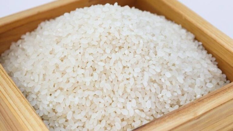 Governo Federal autoriza importação de arroz e define a Conab para executar operações de compra
