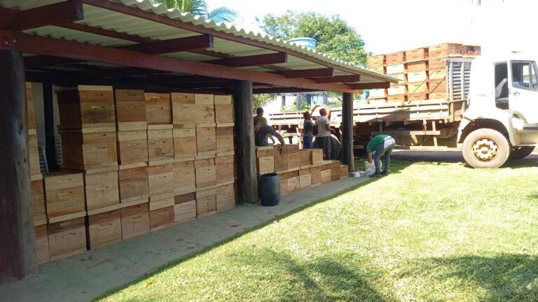 Dia Especial de Apicultura da Amazônia Ocidental acontece no próximo dia 11