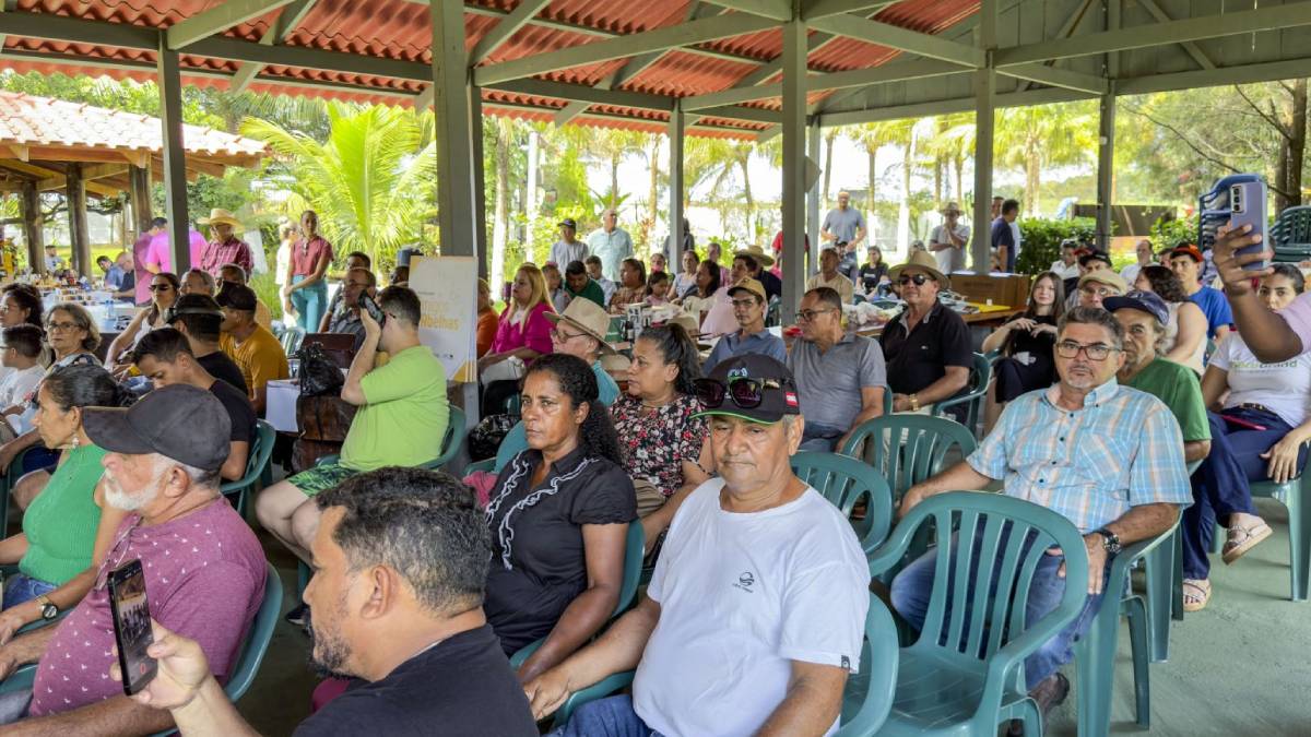 Com produção de mel em alta, Porto Velho recebe o Dia Especial de Apicultura da Amazônia Ocidental