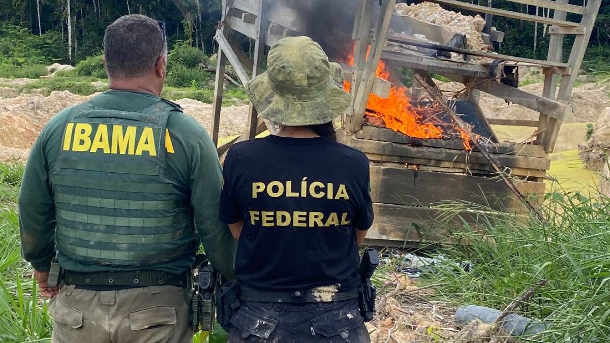 
PF RO deflagra operação Murici contra crimes ambientais em terra indígena