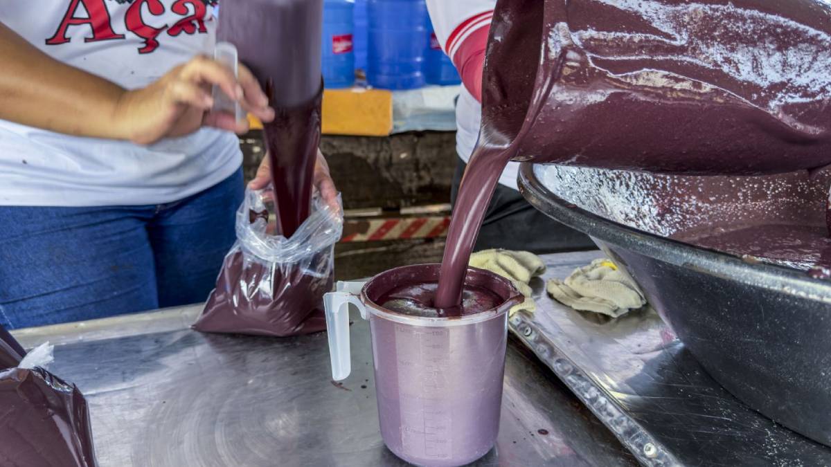Venda de açaí garante sustento de feirante e de toda a família - News Rondônia Venda de açaí garante sustento de feirante e de toda a família