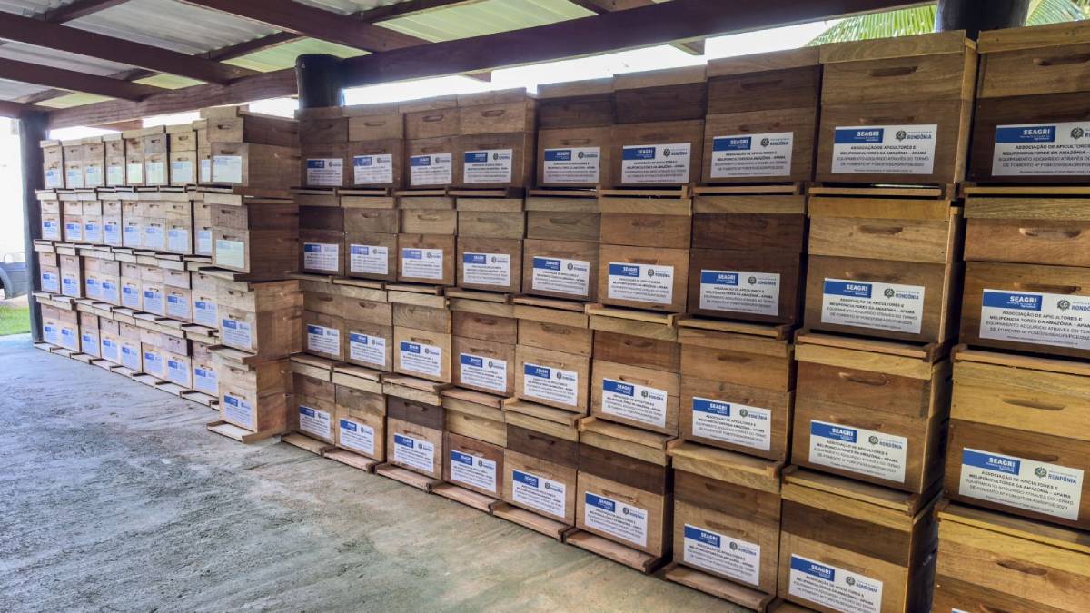 Com produção de mel em alta, Porto Velho recebe o Dia Especial de Apicultura da Amazônia Ocidental - News Rondônia Com produção de mel em alta, Porto Velho recebe o Dia Especial de Apicultura da Amazônia Ocidental