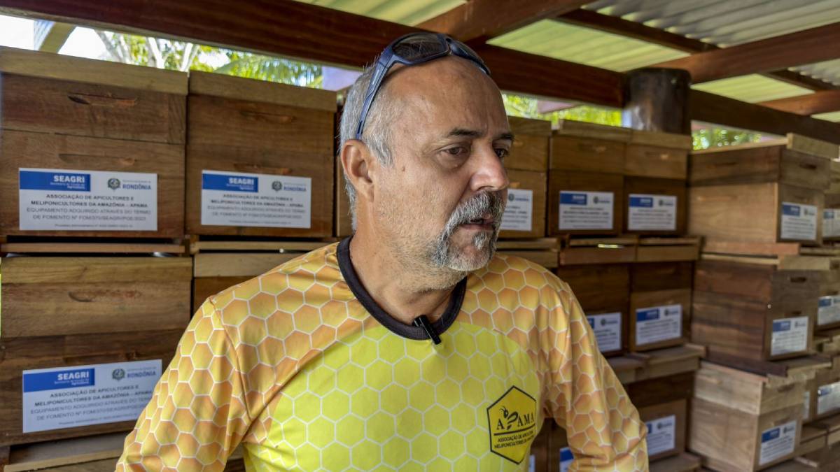 Com produção de mel em alta, Porto Velho recebe o Dia Especial de Apicultura da Amazônia Ocidental - News Rondônia Com produção de mel em alta, Porto Velho recebe o Dia Especial de Apicultura da Amazônia Ocidental