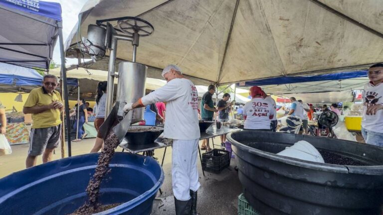 Venda de açaí garante sustento de feirante e de toda a família