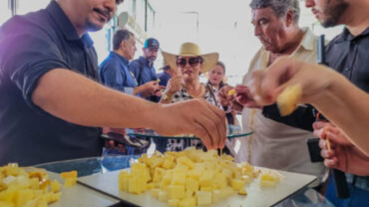 Ganhadores do 3º ConQueijo recebem prêmios do Governo de RO para fortalecer qualidade da produção