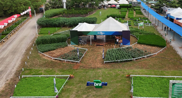 Embrapa destaca inovações tecnológicas na 11ª edição da Rondônia Rural Show - News Rondônia