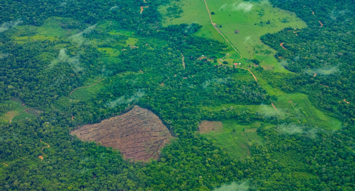 Seminário debate ações para garantir equilíbrio entre produção de alimento e meio ambiente