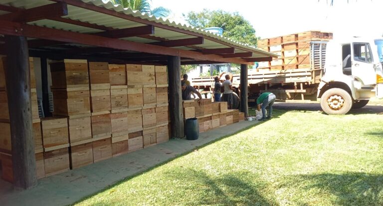 Dia Especial de Apicultura da Amazônia Ocidental gratuito acontece neste sábado (11)