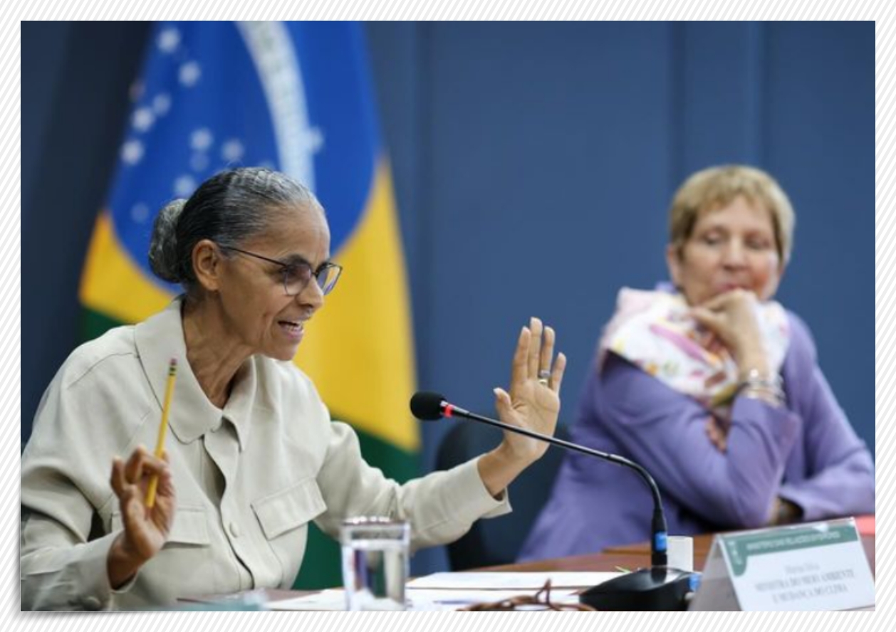 Marina Silva diz que super-ricos devem custear os danos ao meio ambiente - News Rondônia