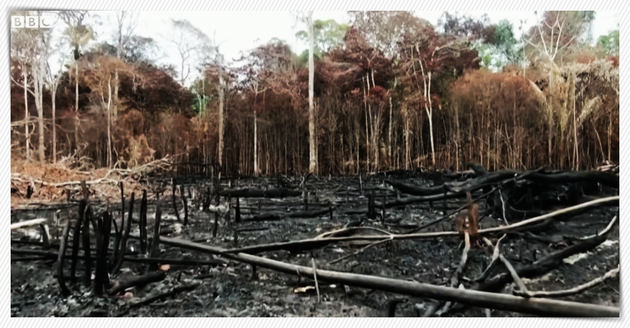 La Niña: Fenômeno entra em circulação no inverno; Amazônia deve se preparar para as mudanças - News Rondônia