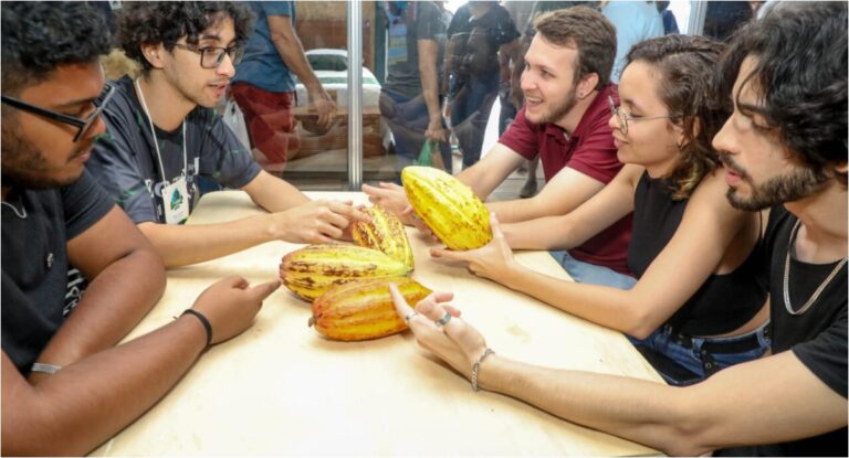 Inovação para cadeia do cacau vence Hackathon da 11ª Rondônia Rural Show Internacional