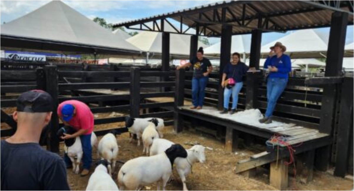Ações de educação sanitária e fiscalização de animais fortalecem setor produtivo na 11ª Rondônia Rural Show - News Rondônia