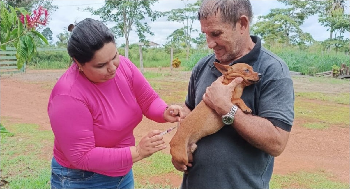 Mais de mil animais foram imunizados contra a raiva em mutirão de vacinação na zona rural de Porto Velho - News Rondônia Mais de mil animais foram imunizados contra a raiva em mutirão de vacinação na zona rural de Porto Velho - News Rondônia
