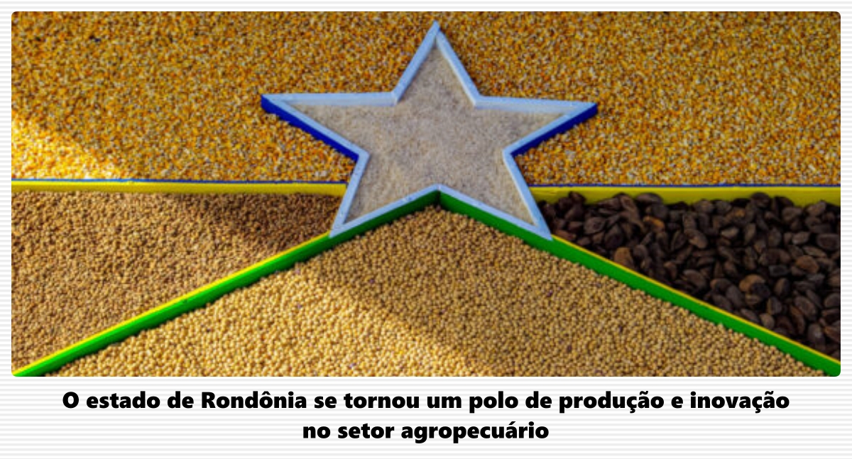 Rondônia Rural Show Internacional inicia nesta segunda-feira com o tema “Agricultura da Amazônia” - News Rondônia