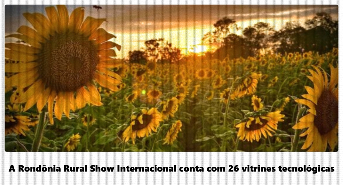 Rondônia Rural Show Internacional inicia nesta segunda-feira com o tema “Agricultura da Amazônia” - News Rondônia