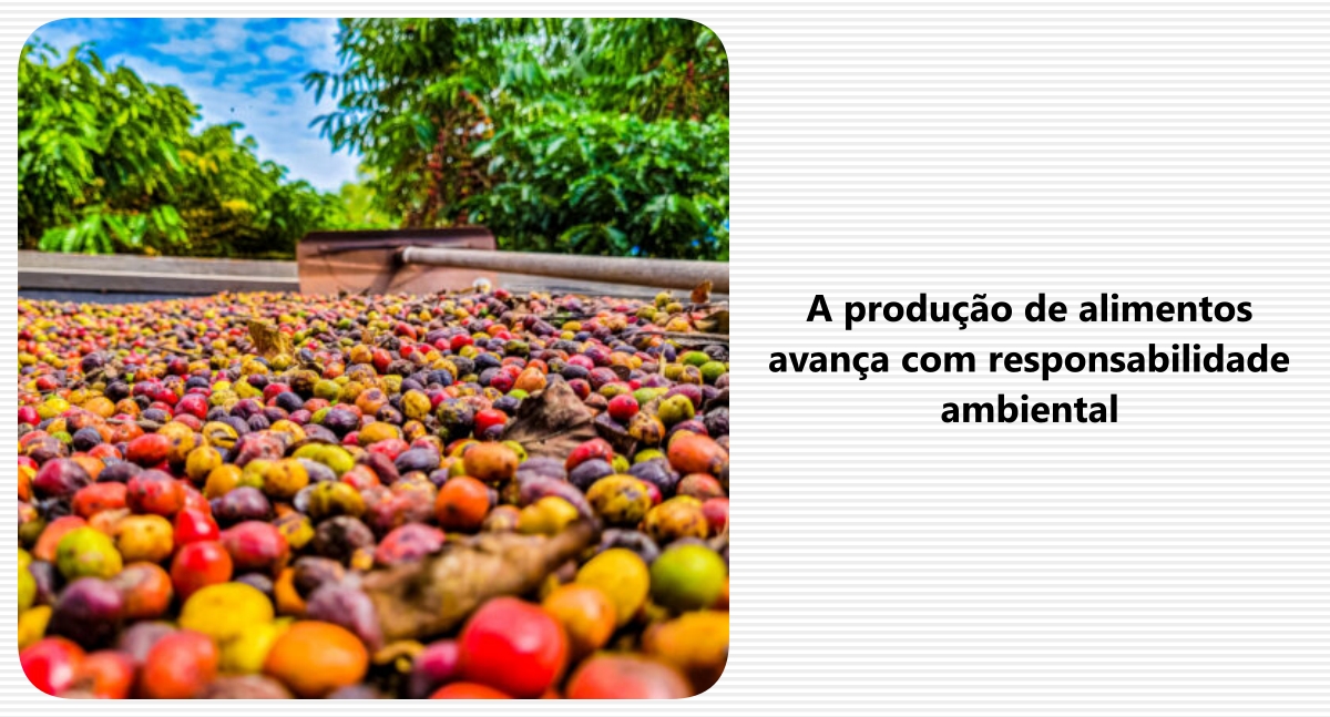 A produção de alimentos avança com responsabilidade ambiental