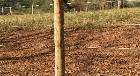 Belgo Arames leva soluções em cercamento ao Rondônia Rural Show, em Ji-Paraná