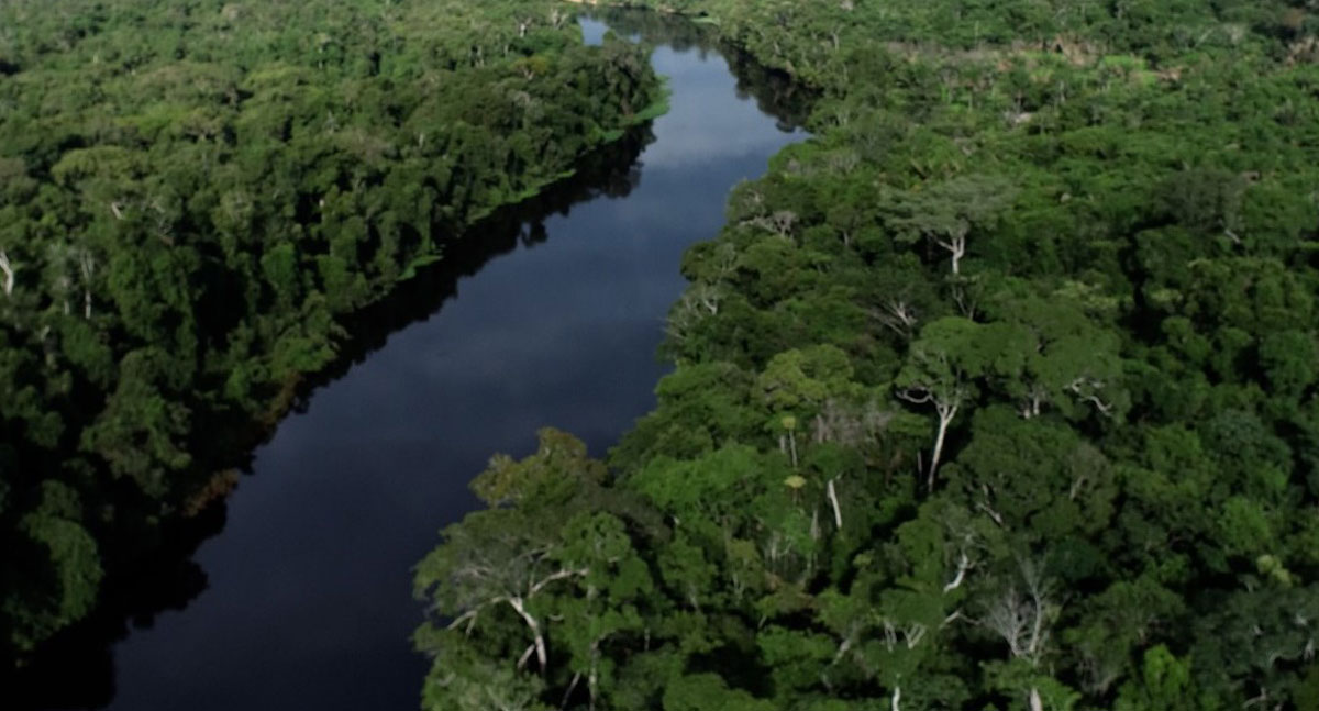Relatório Anual aponta redução de mais de 70% no desmatamento em Rondônia - News Rondônia