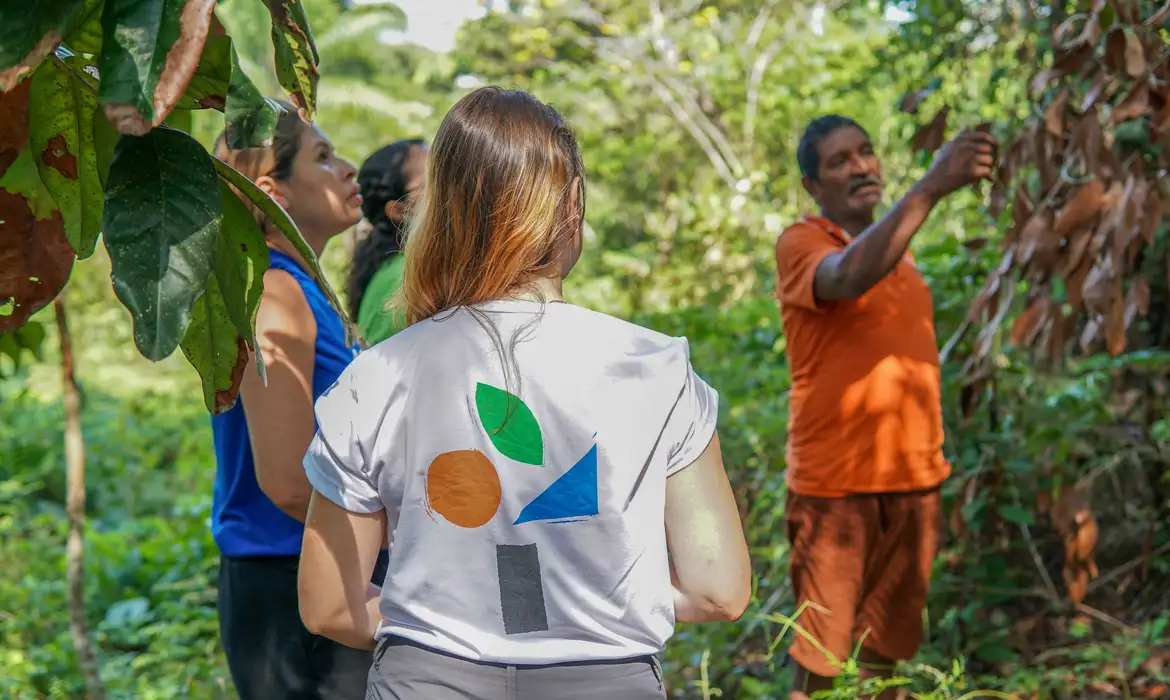 Sistema Agroflorestal promove redução de efeitos da seca na Amazônia