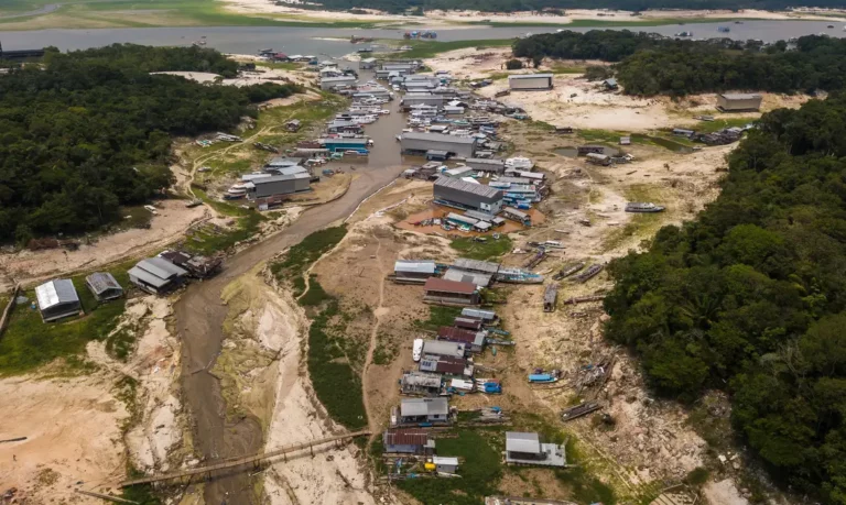 Crise climática: adolescentes levam ao papa demandas da juventude