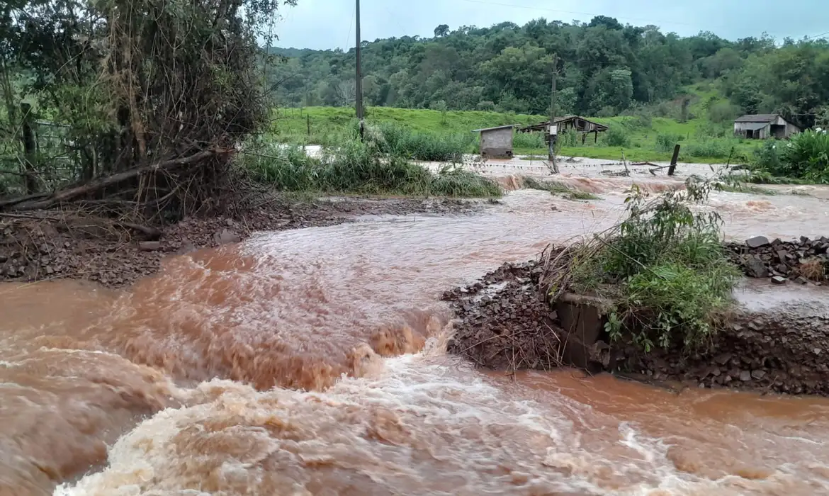 Recuperar vegetação degradada no RS ajuda a prevenir tragédias