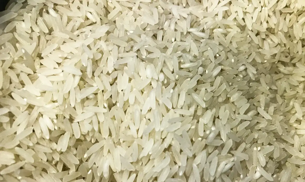 Camex zera tarifa de importação para garantir abastecimento de arroz